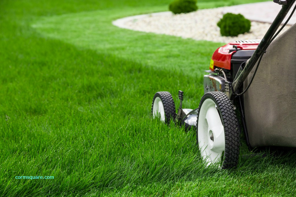 Lawn mowing service in a north Winnipeg residential neighbourhood